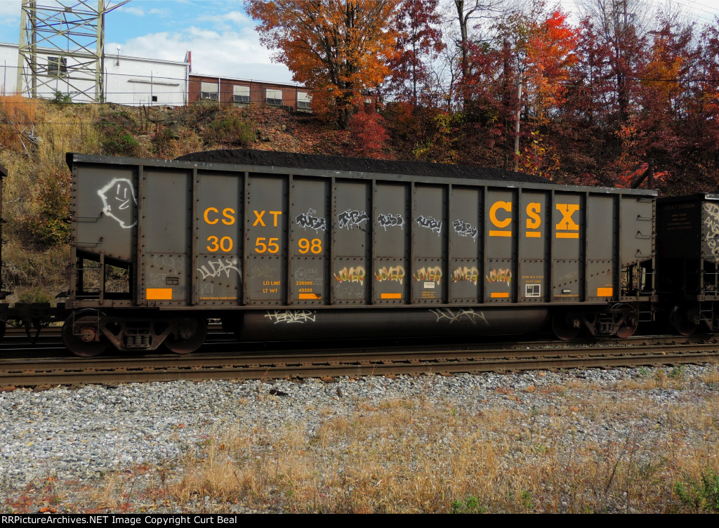 CSX 305598